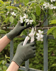 Garden Gloves