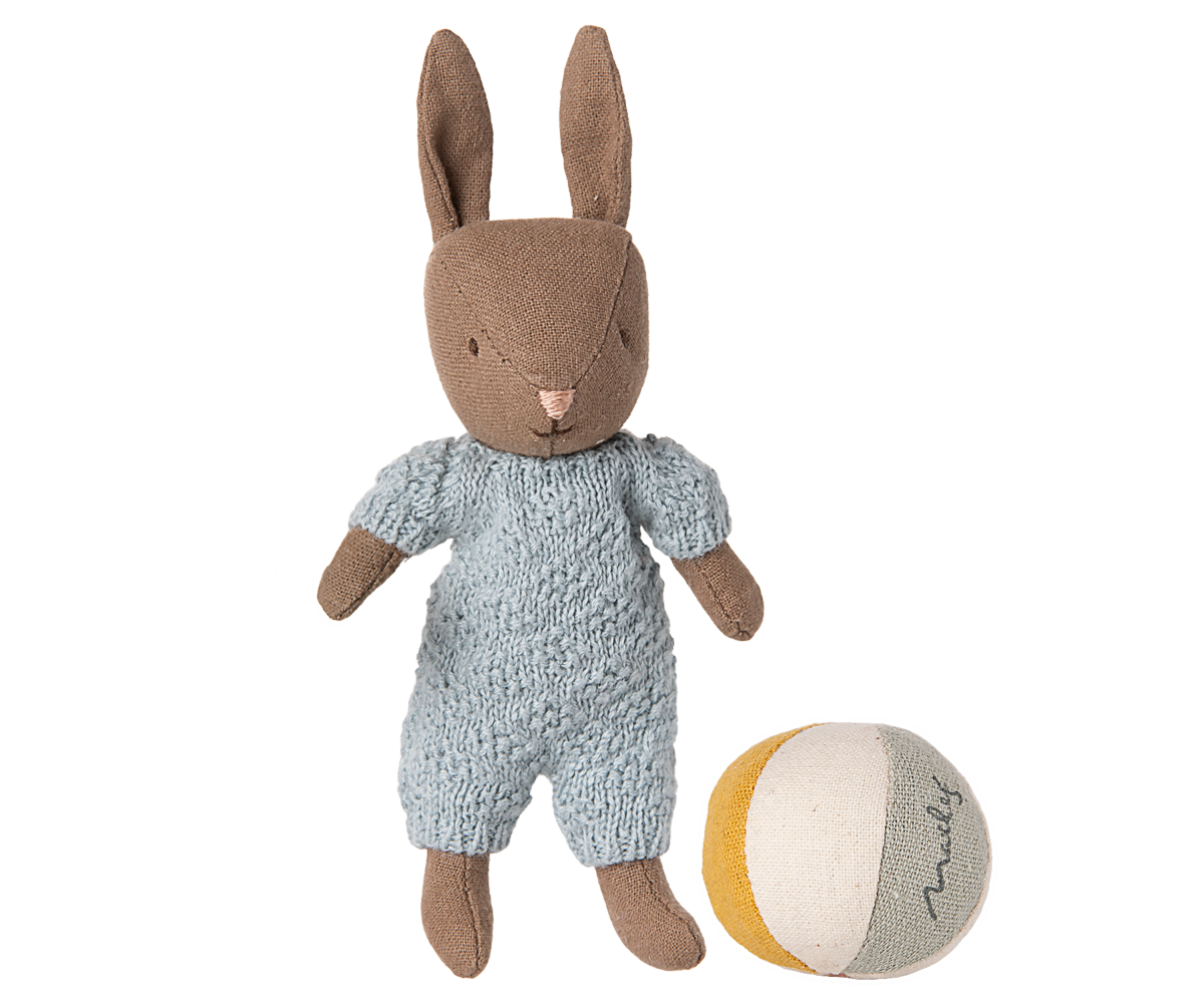 Rabbit Set, Micro BLUE