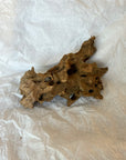 Dragon Bone Wood