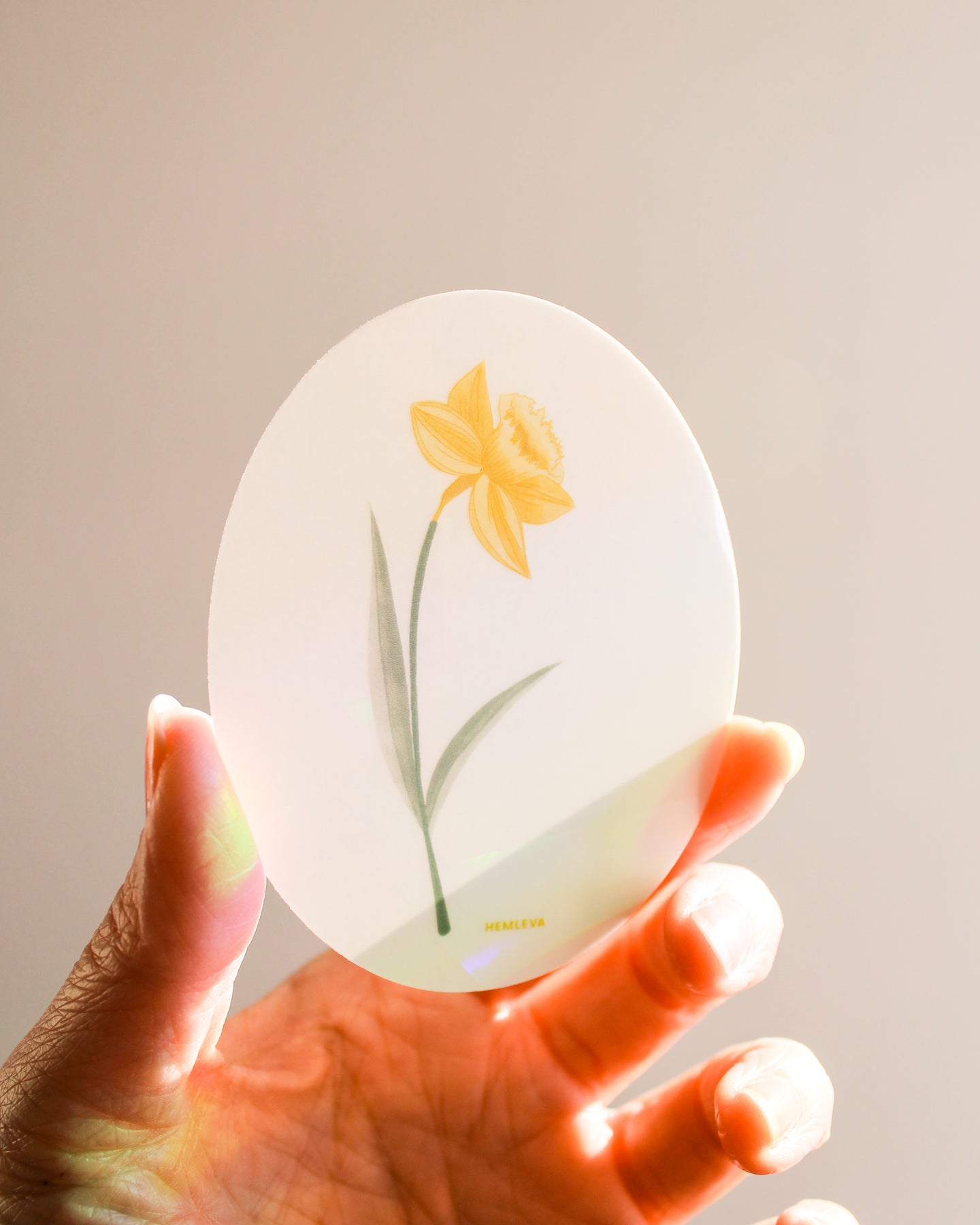 Suncatcher : Daffodil