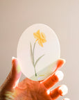 Suncatcher : Daffodil