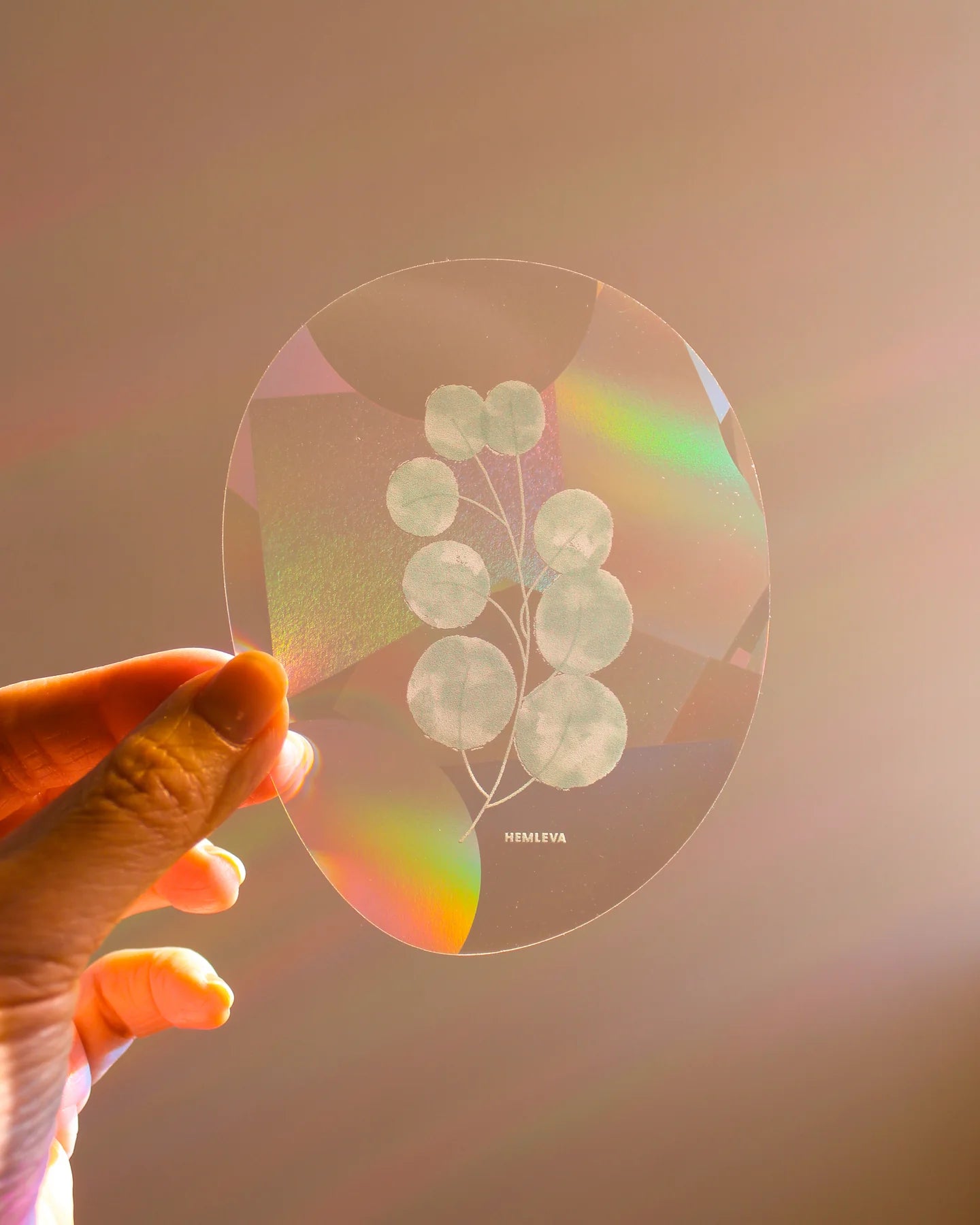 Suncatcher : Eucalyptus