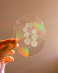 Suncatcher : Eucalyptus