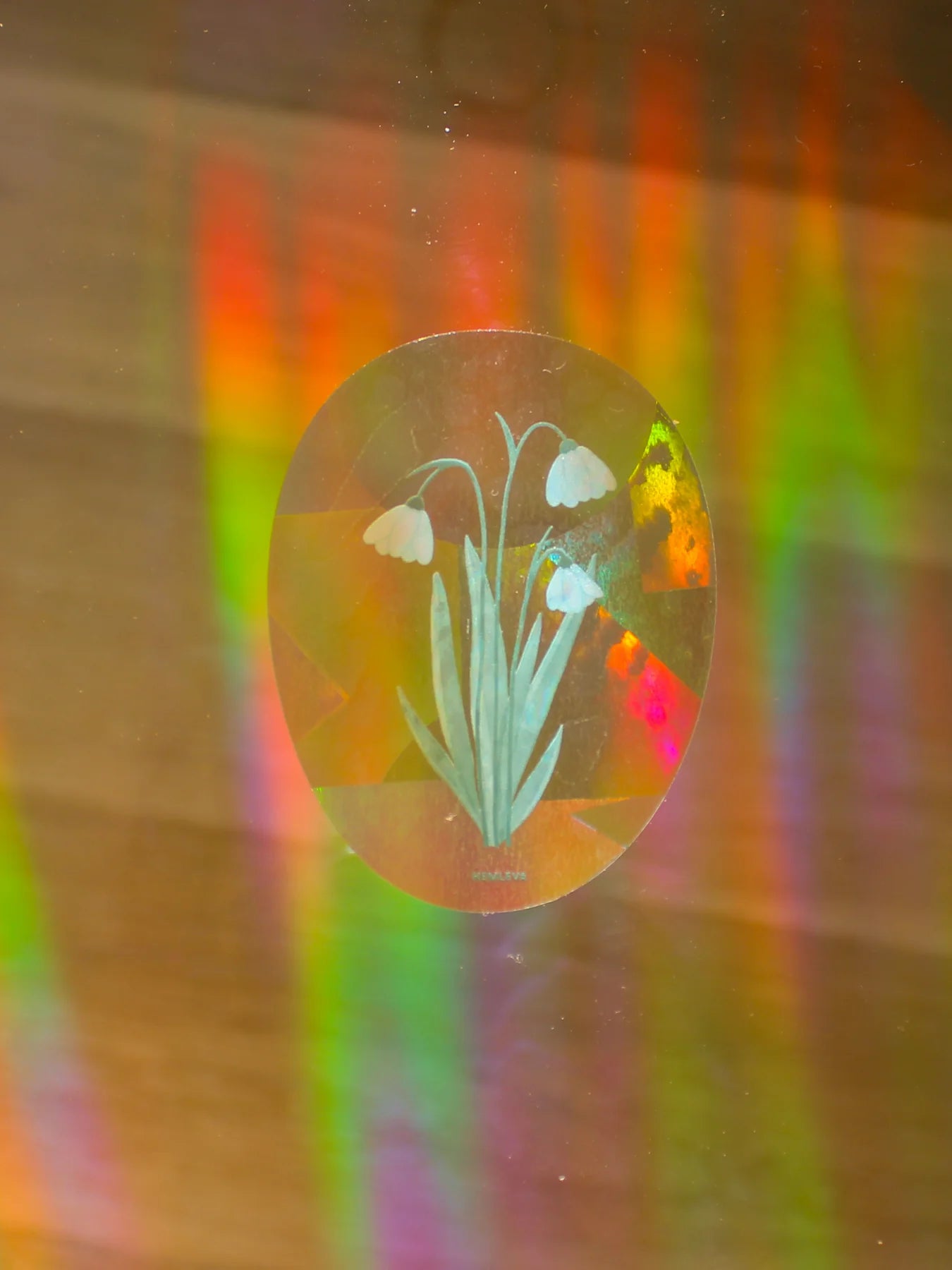 Suncatcher : Snowdrop