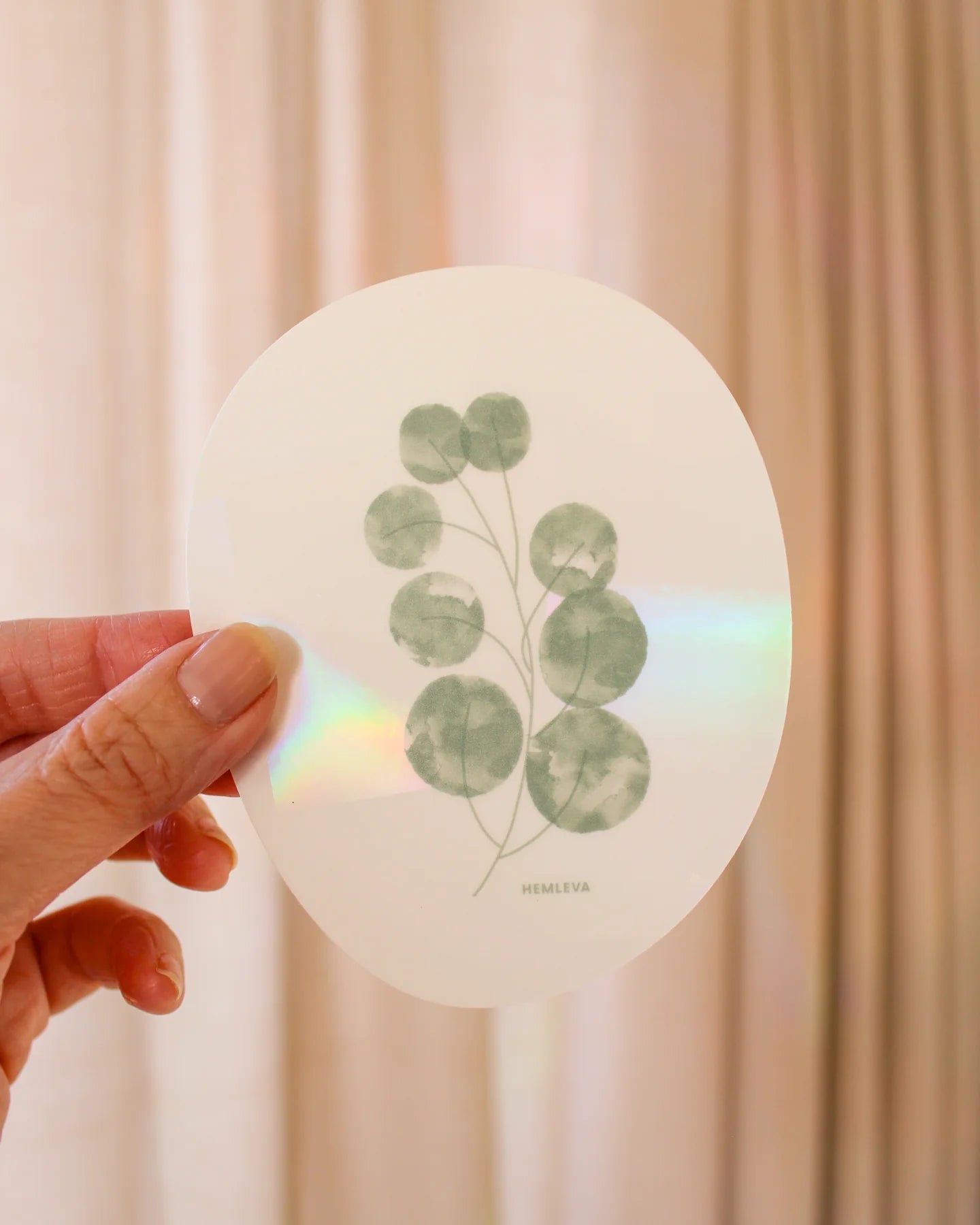 Suncatcher : Eucalyptus