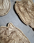 Issaquah Alps Coaster Set of 3