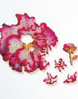 Mini Wooden Puzzle : Begonia