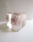 ROSE Hinaarare Cube