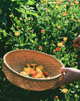 All Purpose Tallow Balm