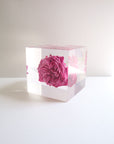 ROSE Isshin Cube