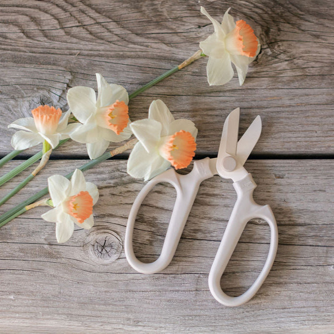 Floral Clippers - Fog