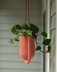 Portico Hanging Planter