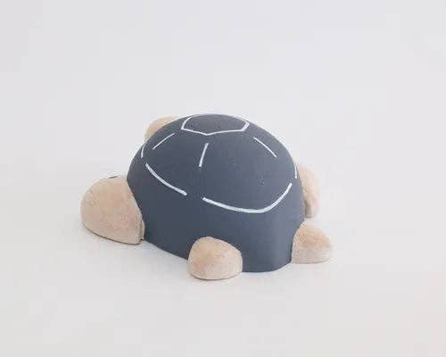 Sea Turtle