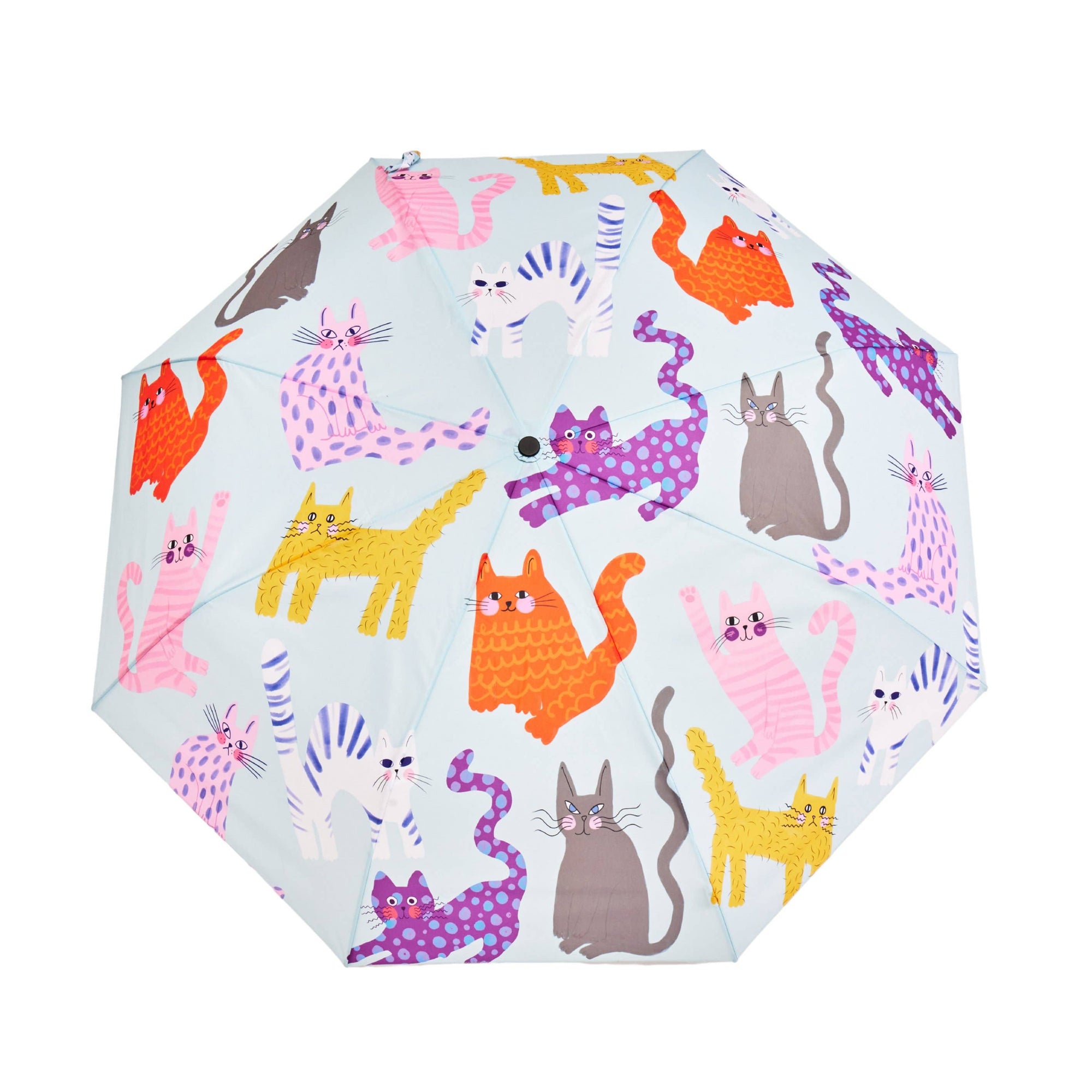 Duckhead Umbrella : Ice Arty Cats