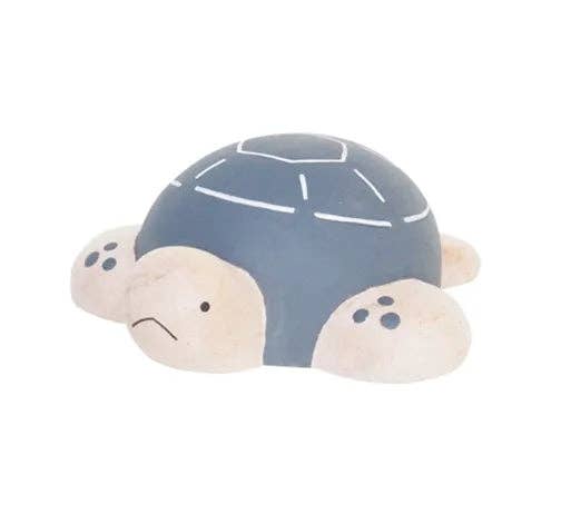 Sea Turtle