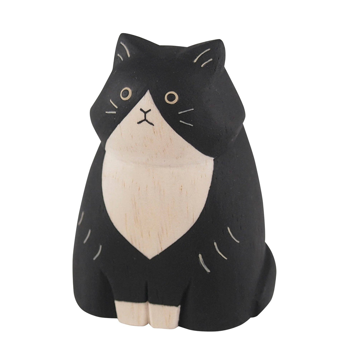 Long Haired Black Cat