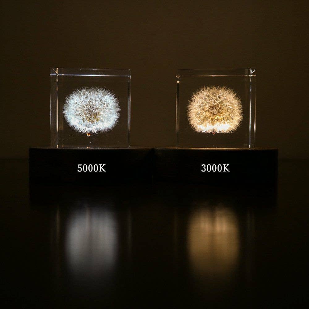 Sola Cube LED Light Base 5000K