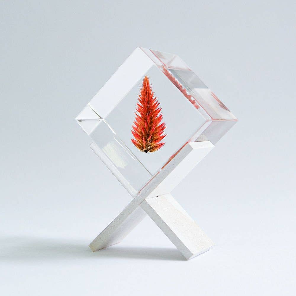 Quail Grass Cube