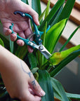 Garden Shears