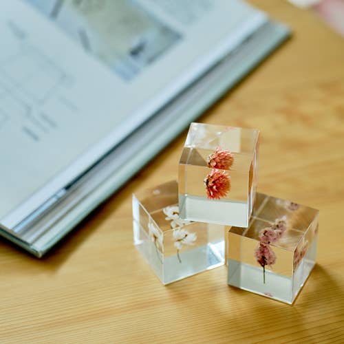 Sea Lavender Cube