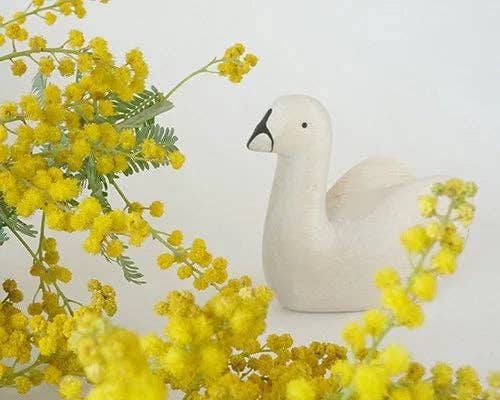 T-lab polepole animal SWAN 2024
