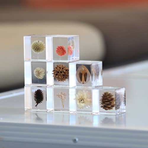 Globe Thistle Cube