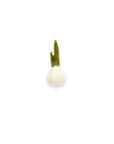 Felt Fruits & Vegetables