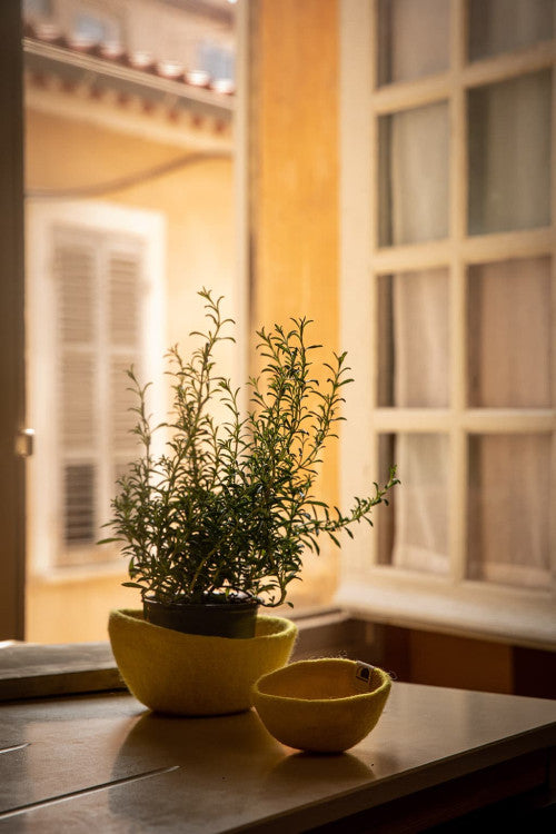 Plain Bowl - Small