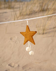 Pompom Star Two-Tone Ornament