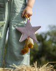 Star Ornament