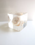 ROSE Hugetsu Cube