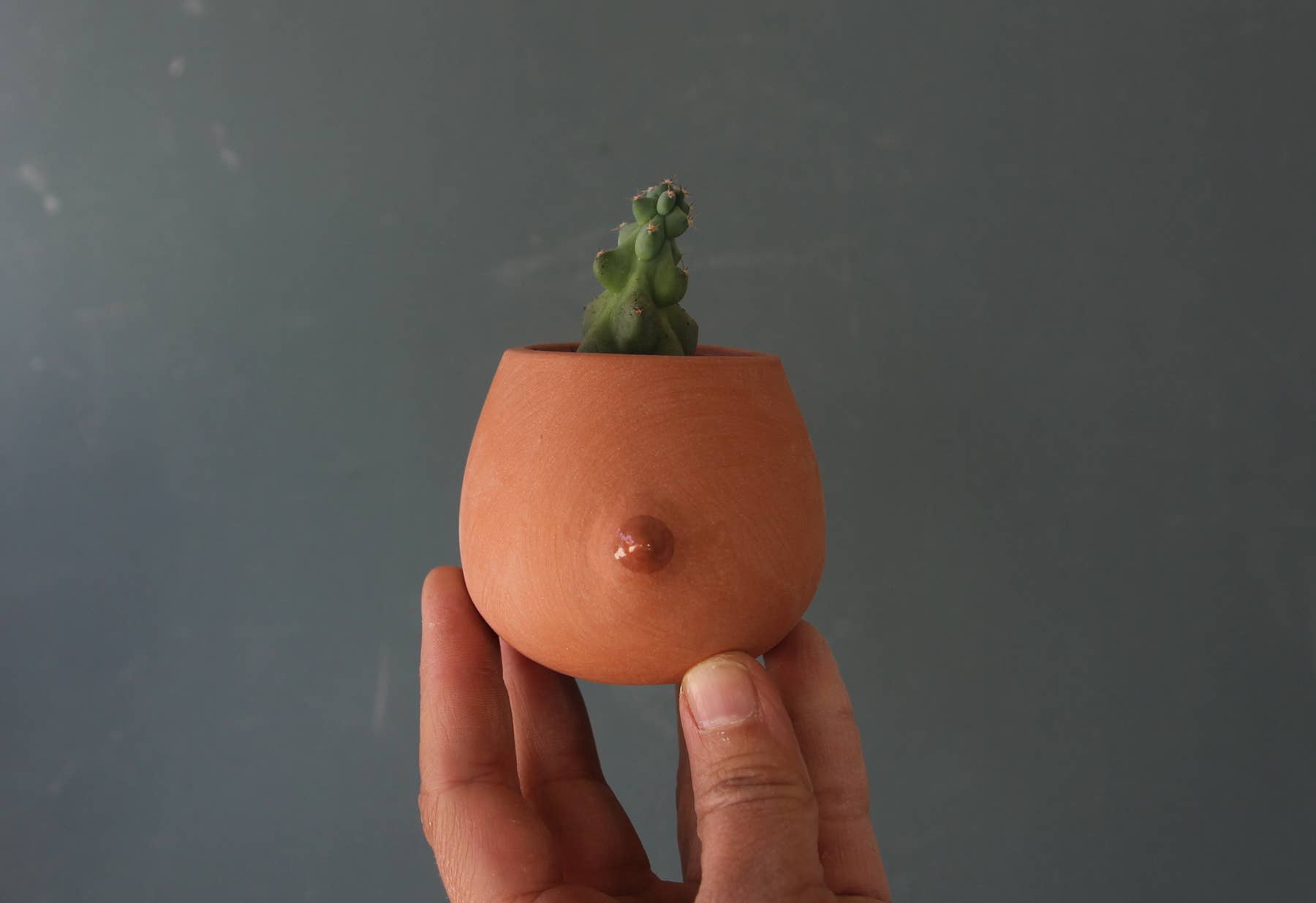 Mini Terra-cotta  Nip Cup