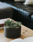 Kinto Plant Pot - Dark Gray